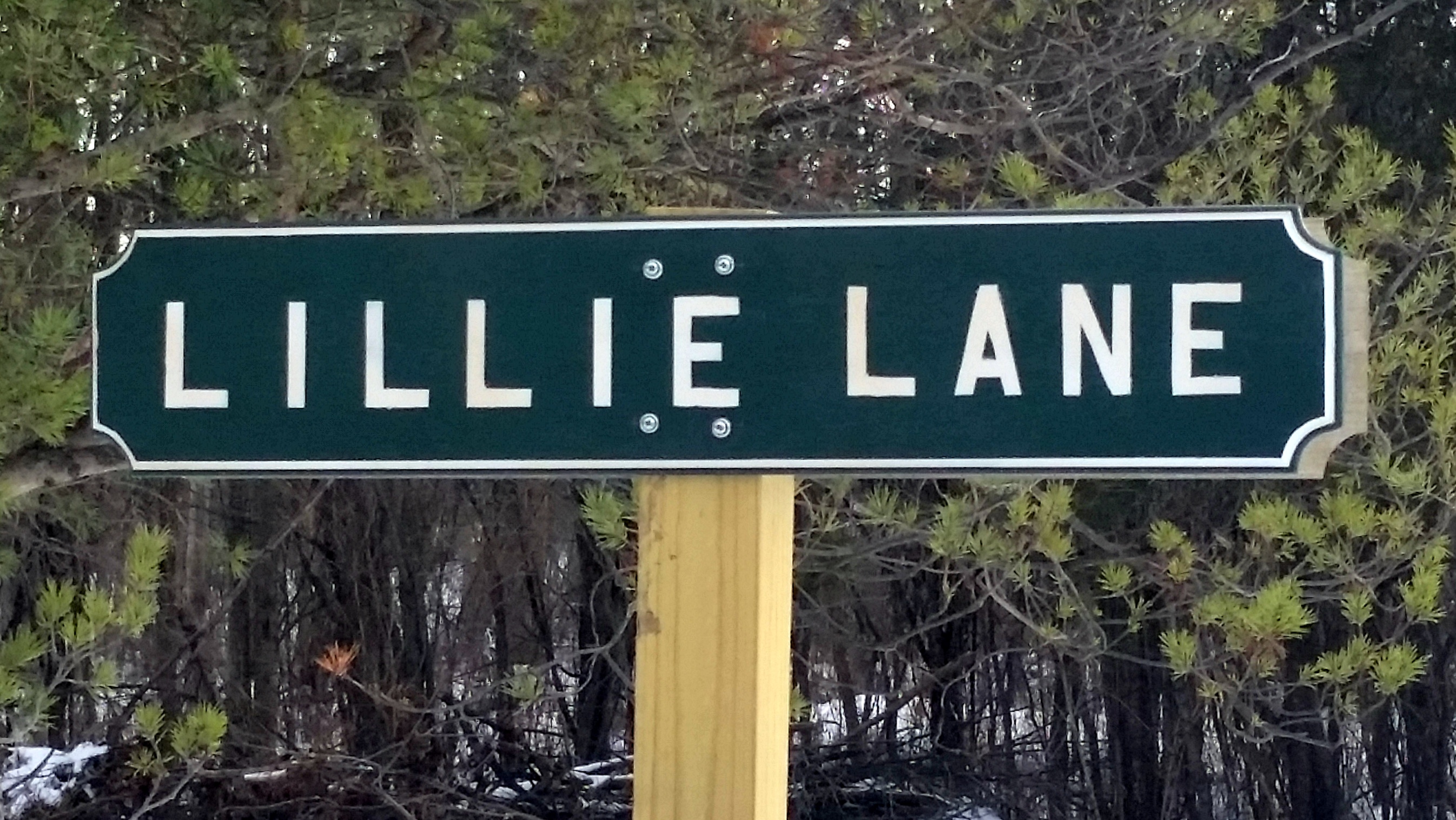 Lillie Lane